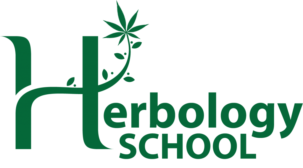 Courses Cannabis Infusion Bartending